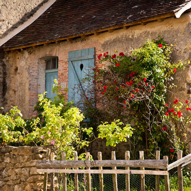 Circuit de la photographie