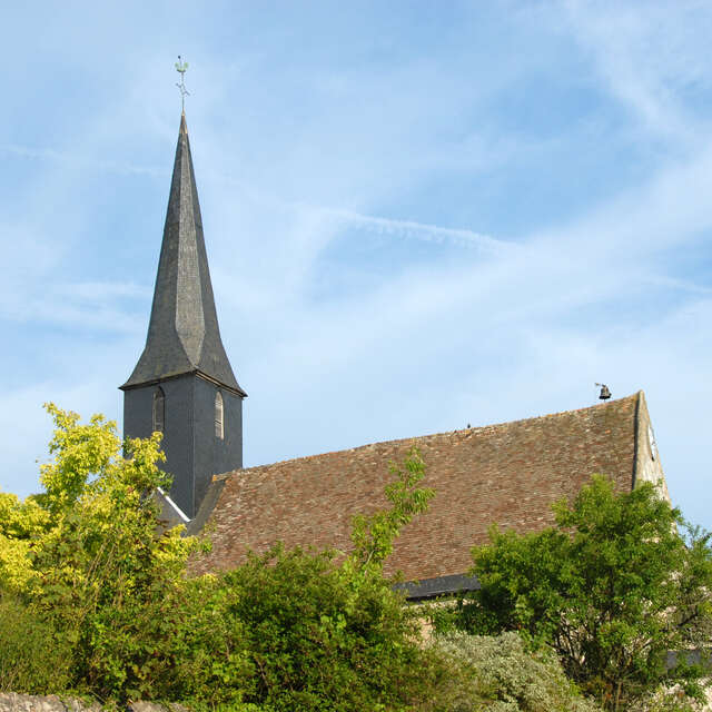 Beaumont-Pied-de-Boeuf - Eaux et forêts