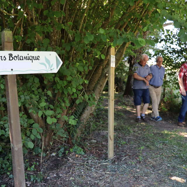 Rando Clim Parcours botanique, Chemin du boudin de son