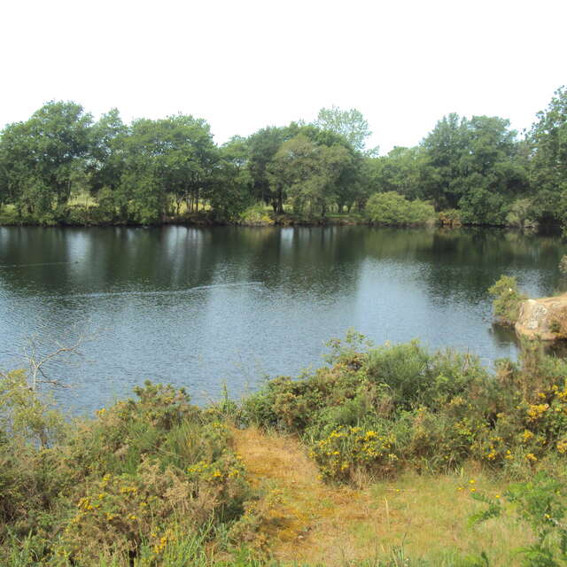 AIRE DE PIQUE-NIQUE_LE TROU BLEU