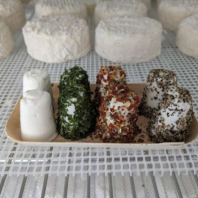 Les Chèvres de St Céneri