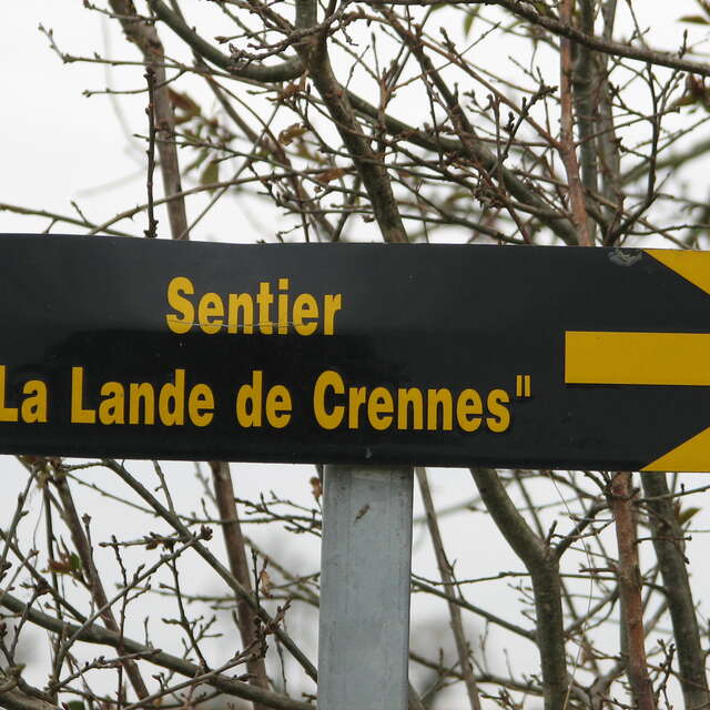 20 DE LA LANDE DE CRENNES AU PETIT VAL