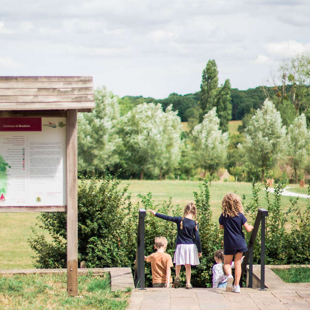 Sur les pas du Gohan