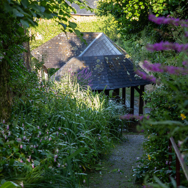 Sur les pas des Croisés