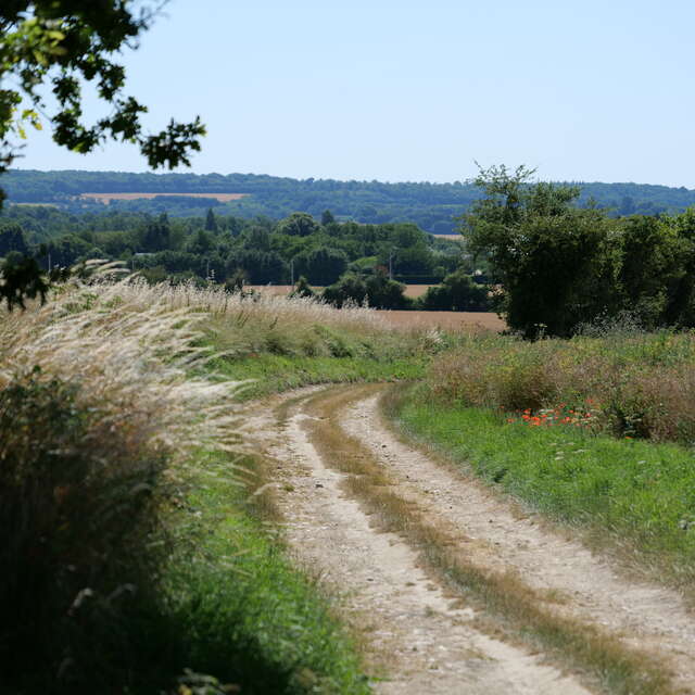 Autour du Saint-Symphorien