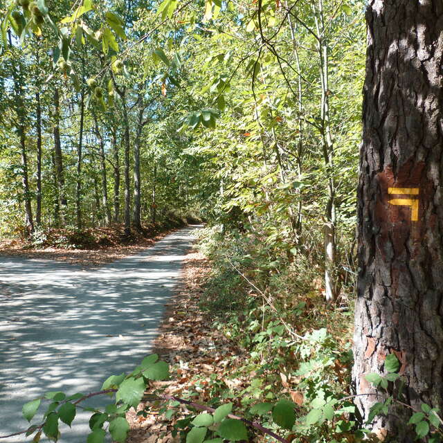 Les boucles de Saint-Célerin