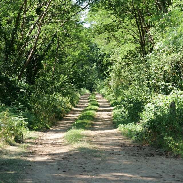 Circuit des deux chênes