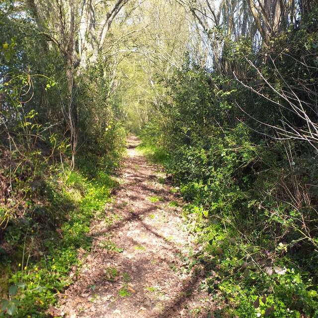 Pruillé-l'Éguillé - la boucle du Clairet