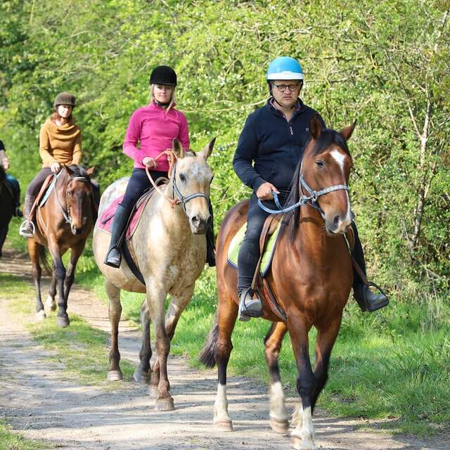 BALADE À CHEVAL - LE DOMAINE DES PIERRES JUMELLES