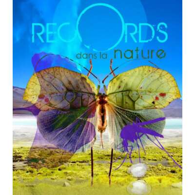 Records dans la nature