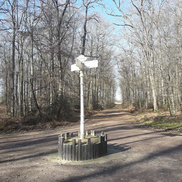 Thoiré-sur-Dinan - Le chêne Boppe