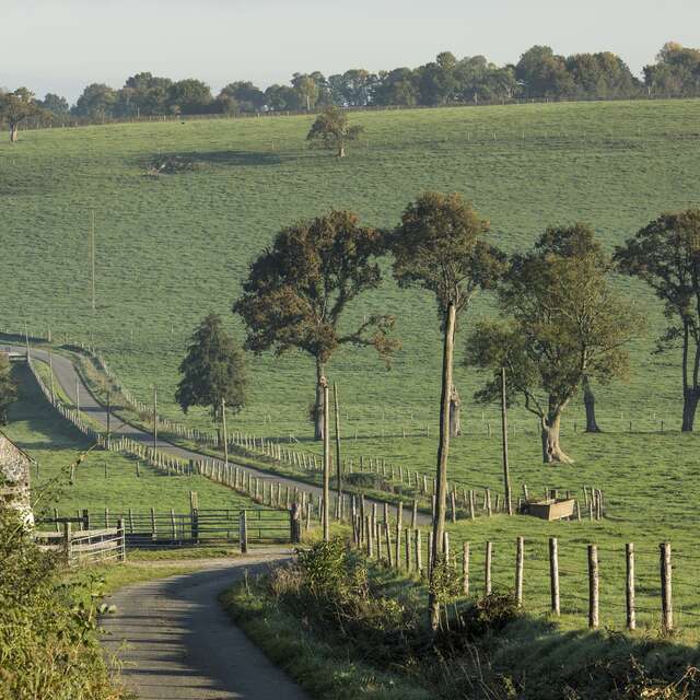 CIRCUIT DE BOUILLÉ - N°26