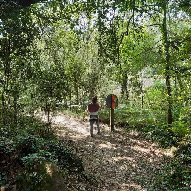 GR® DE PAYS SEVRE ET MAINE - BOUCLE DU VIGNOBLE