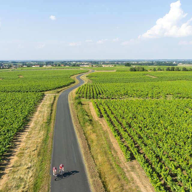 ROUTE DES VINS "VOYAGE DANS LE VIGNOBLE" DE NANTES A CLISSON