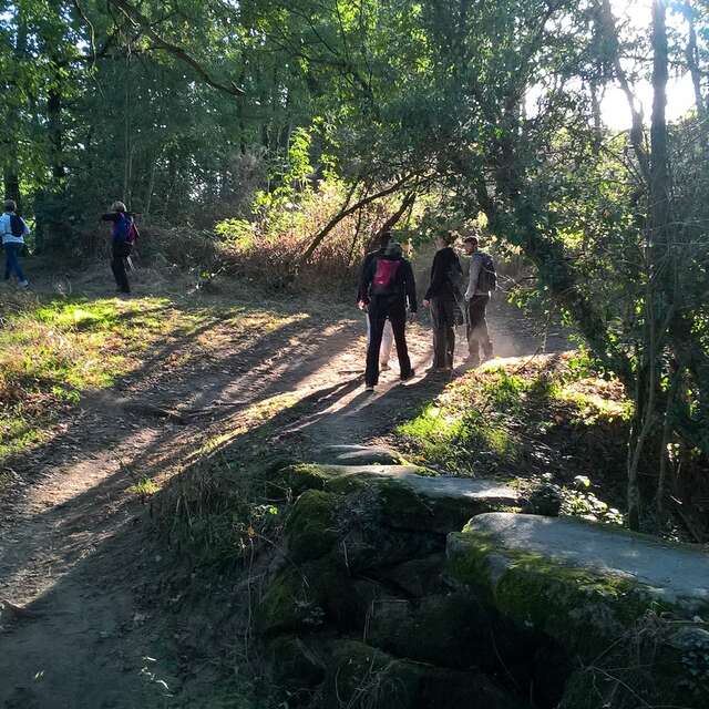 BOUCLE CIRCUIT DES ROCHERS