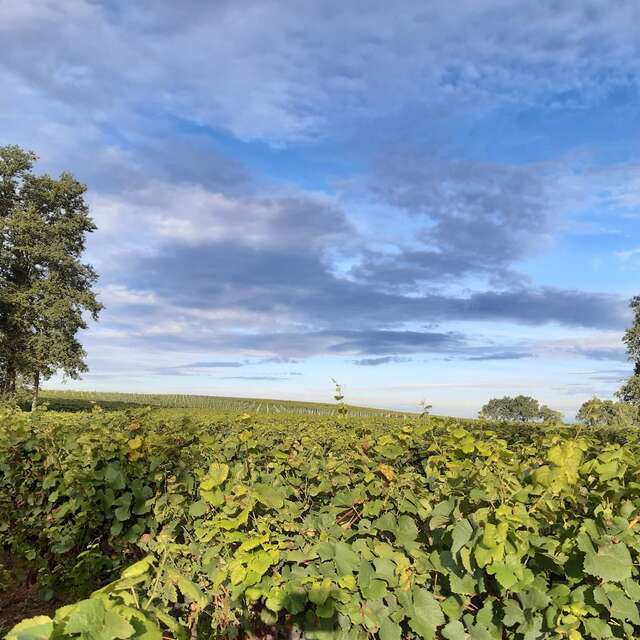 VÉLIDÉALE -ITINERAIRE 3 VERTOU - LE PALLET