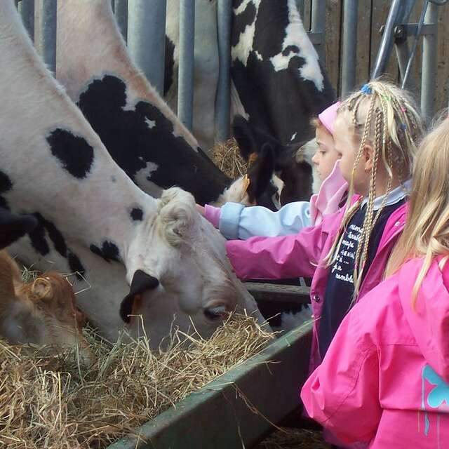 FERME PÉDAGOGIQUE LA GASSELINAIS