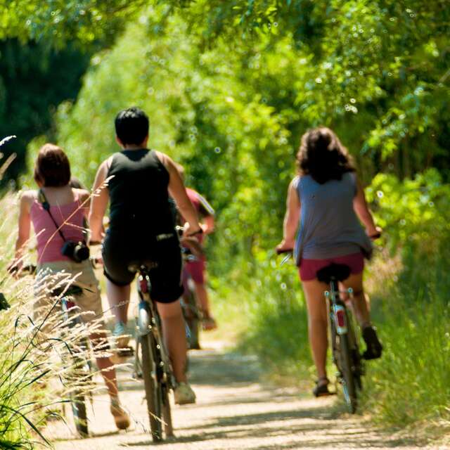 Boucle n°1 : Loir et vergers