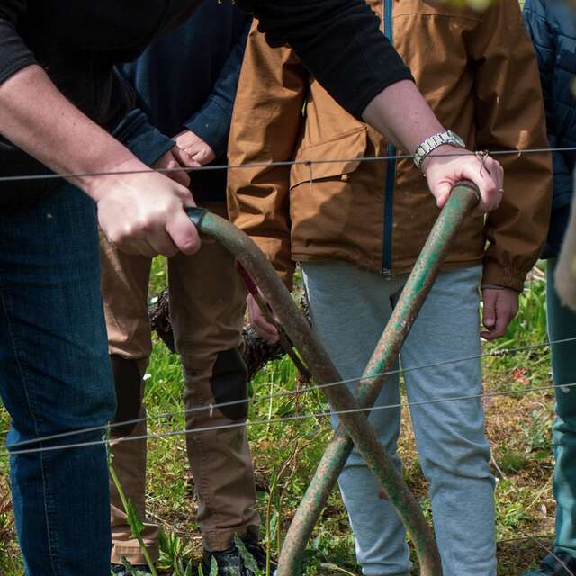 Parcours touche-à-tout