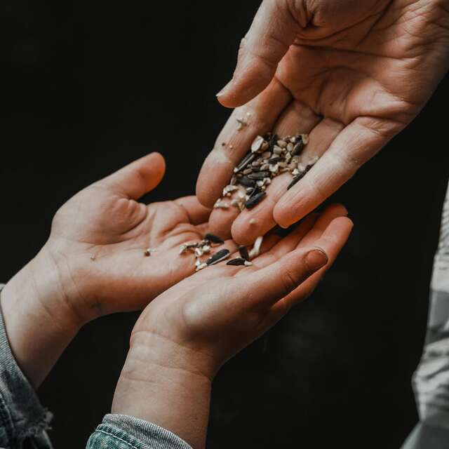 LES MERCREDIS A LA FERME