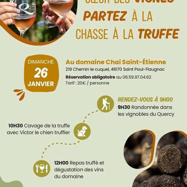 Marchez au cœur des vignes et partez à la chasse à la truffe