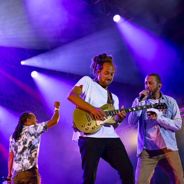 ANNULATION - Festival Ecaussystème : Les concerts du Vendredi