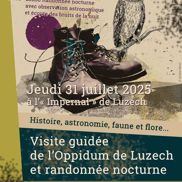 Visite guidée de l'Oppidum de Luzech et rando nocturne