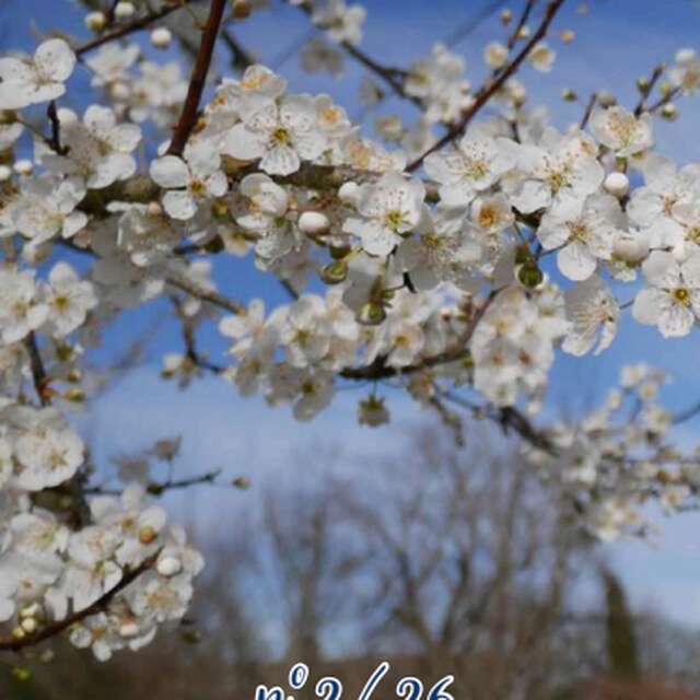 Randonnée pédestre Randoval