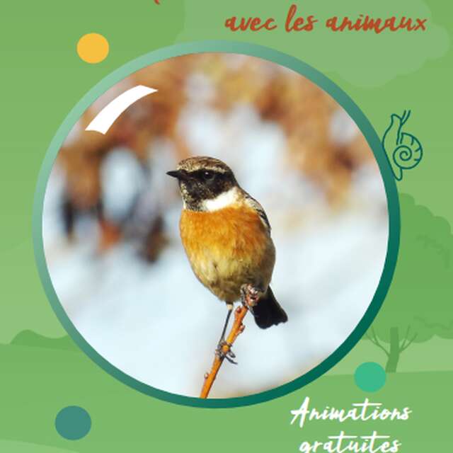 Exposition : « Faire son nid »