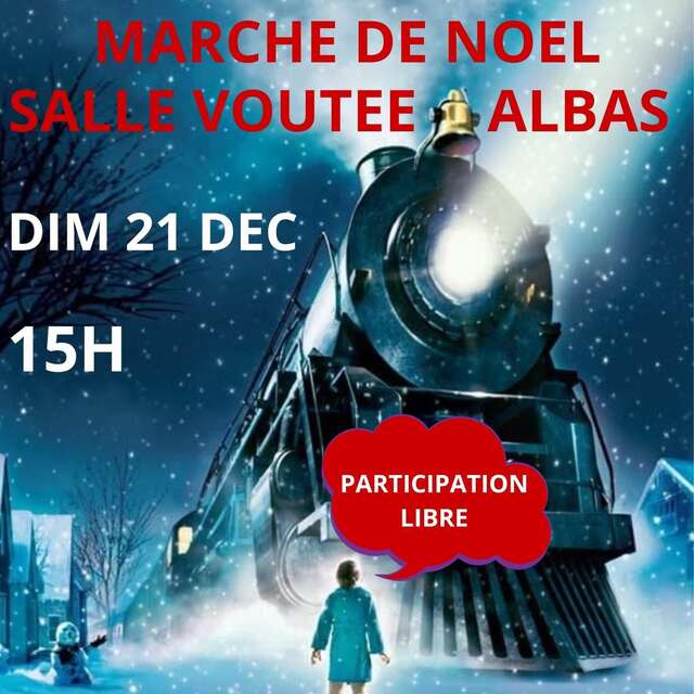 Projection : "Le pôle express"