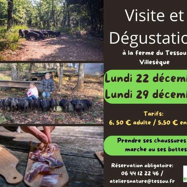 La Ferme du Tessou vous ouvre ses portes !