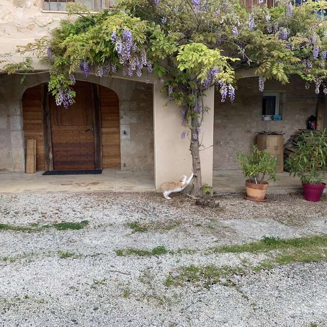 Gite au clair de Lunan