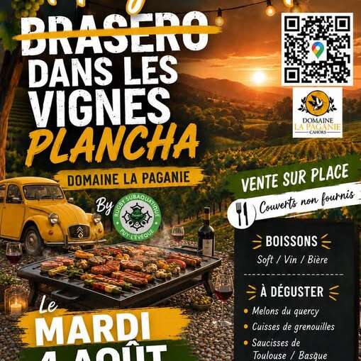Plancha dans les vignes au domaine La Paganie