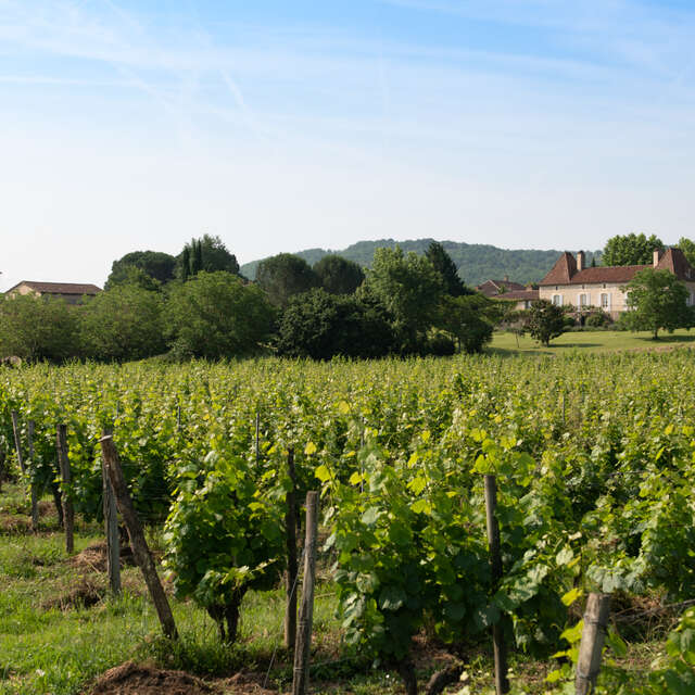 Château Gautoul