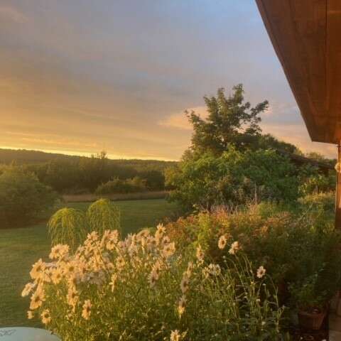 Stage à l'Atelier sous les Chênes - Trois journées de formation Ennéagramme
Avec Francis SEHL
