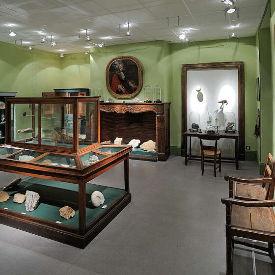 Les Salons du Collège du Puy / Le Musée d'histoire
