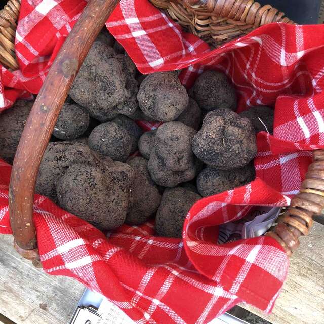 Truffes Noires de Montcuq