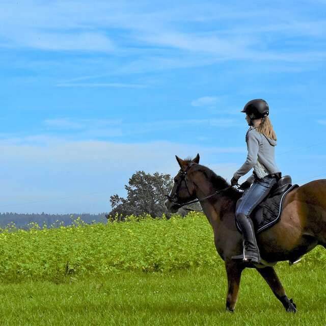 Randonnée cheval avec l'ARET