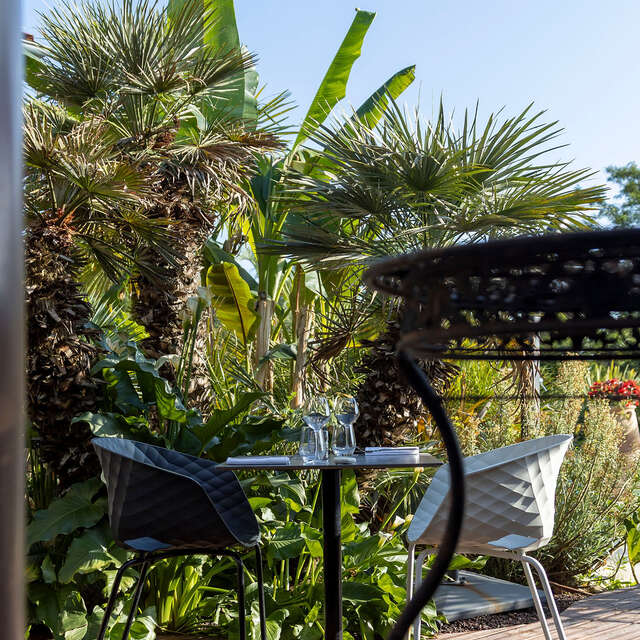 Restaurant Un Canard sous l'Olivier