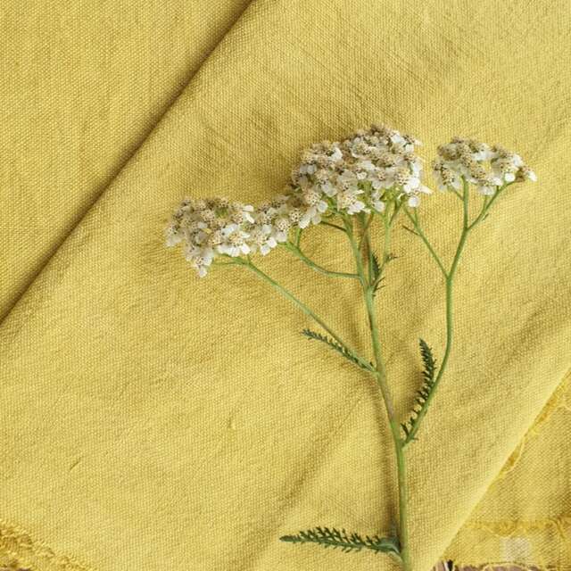 Atelier Végétal Créatif avec M.A Nature : Teinture Végétale