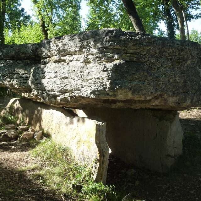 A la Découverte du Causse des Dolmens