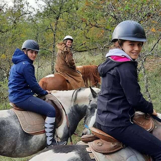 Ferme Equestre Chez Maiwenn
