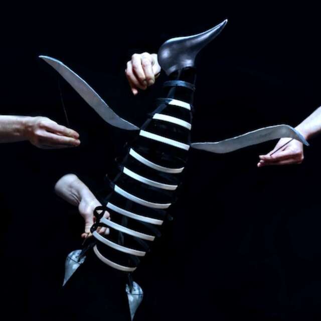 Spectacle jeune public à Figeac : Le complexe du pingouin