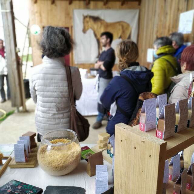 Jumenterie du Pech Blanc