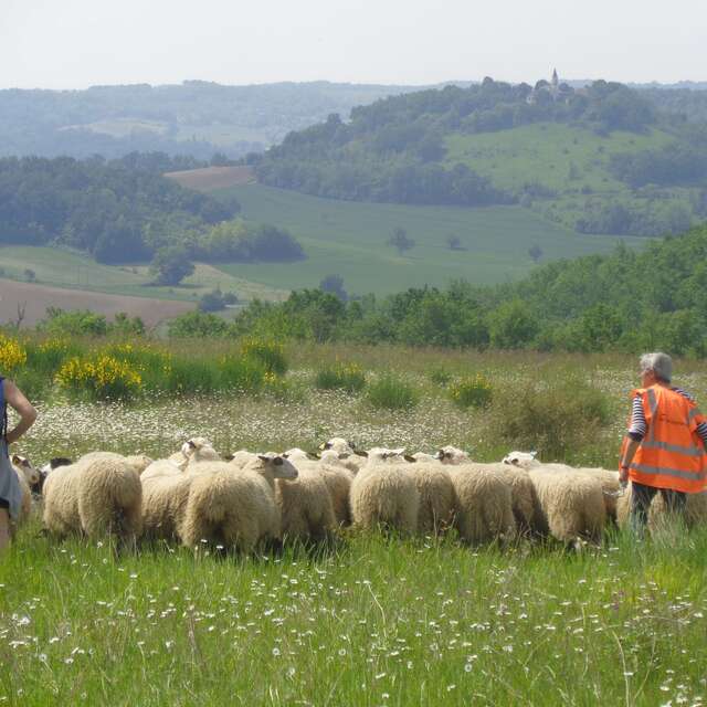 Ferme Lagarriguette
