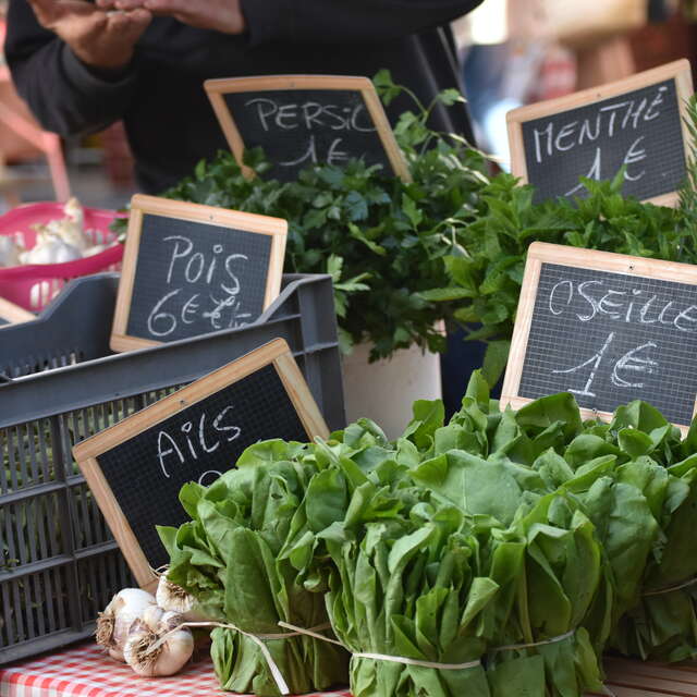 Marché à Saint-Cirq Lapopie