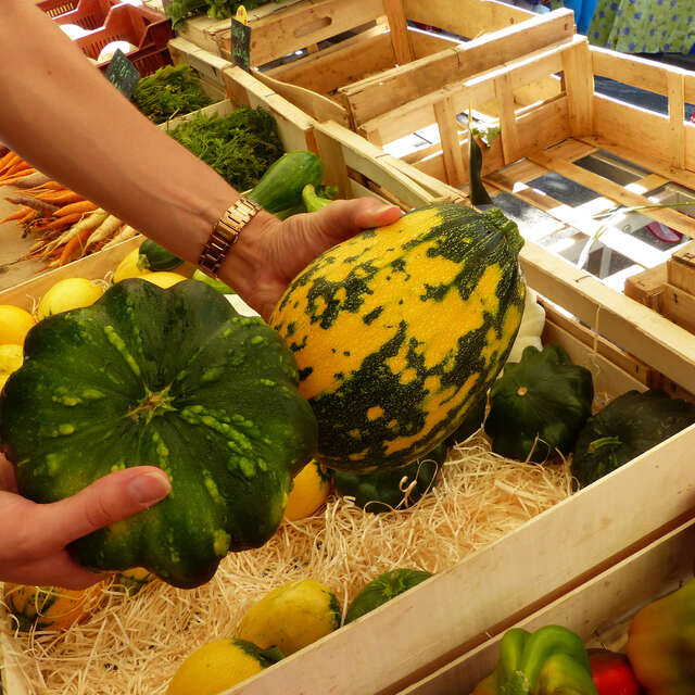 Marché à Limogne-En-Quercy