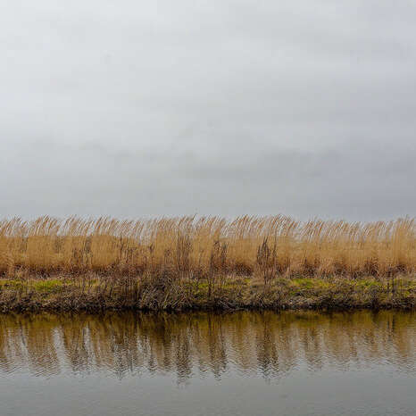 Vernissage de l'exposition "Littoral"