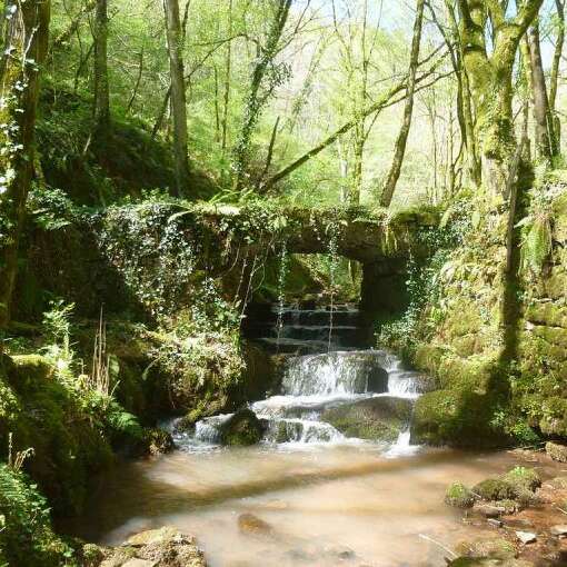 Le sentier des sources