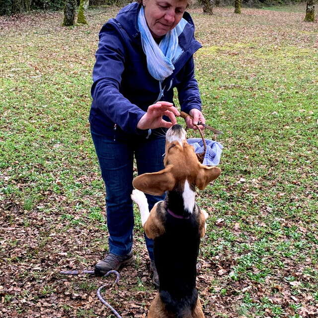 Visite de la truffière à Truffes Passion